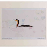 A2 cormorant adult swimming