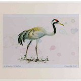 A2 crane adult