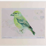 A2 common crossbill female