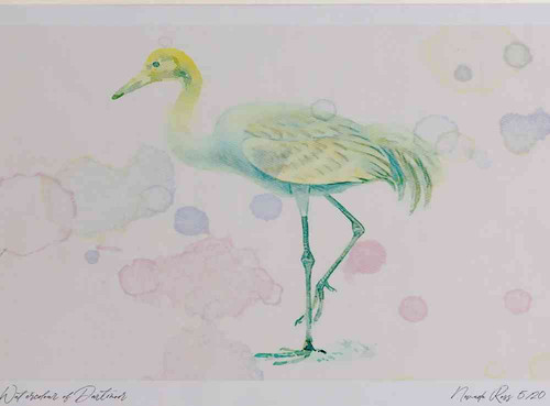 A4 crane juvenile.jpg