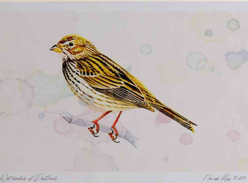 A4 corn bunting.jpg