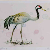 A4 crane adult