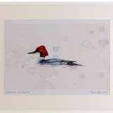 A2 goosander female