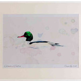 A2 goosander male