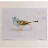 A2 dunnock