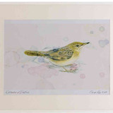 A2 grasshopper warbler adult