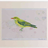 A2 golden oriole female