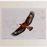 A2 golden eagle adult