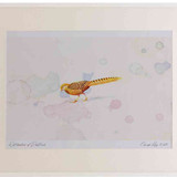 A2 golden pheasant female