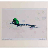 A2 goldeneye male