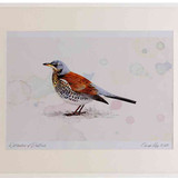 A2 fieldfare