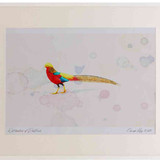 A2 golden pheasant male