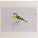 A2 whinchat female