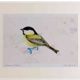 A2 willow tit