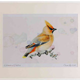A2 waxwing