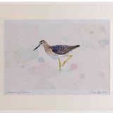 A2 wood sandpiper