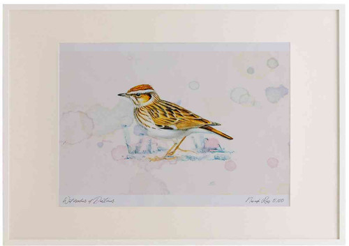 A2 woodlark.jpg