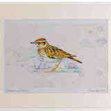 A2 woodlark