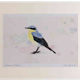 A2 wheatear male