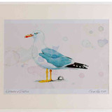 A2 yellow legged gull adult