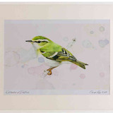 A2 yellow browed warbler