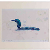 A2 great northern diver breeding plumage