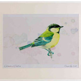 A2 great tit juvenile