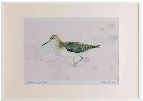 A2 green sandpiper.jpg