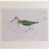 A2 green sandpiper