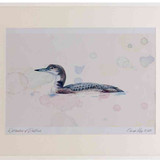A2 great northern diver firstwinter