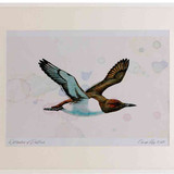 A2 guillemot inflight
