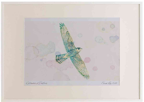 A2 hobby juvenile.jpg