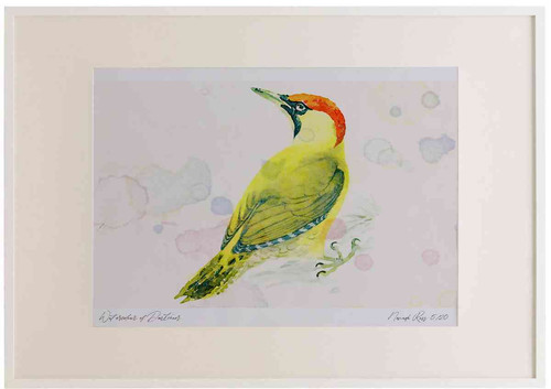 A2 green woodpecker female.jpg