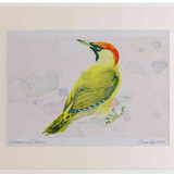 A2 green woodpecker female