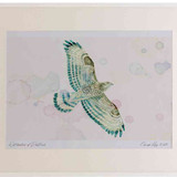 A2 honey buzzard female