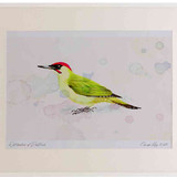 A2 green woodpecker male