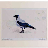 A2 hooded crow