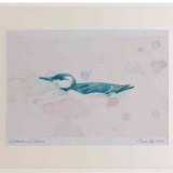 A2 guillemot winter
