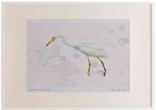 A2 great white egret.jpg