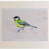 A2 great tit adult
