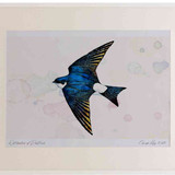 A2 house martin inflight