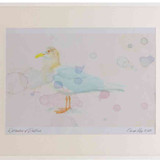A2 iceland gull adult nonbreeding plumage