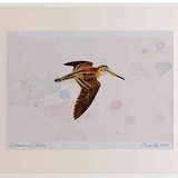 A2 jack snipe inflight