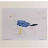 A2 lesser black backed gull adult