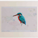 A2 kingfisher