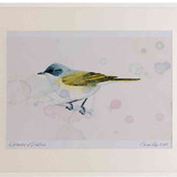 A2 lesser whitethroat