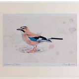A2 jay