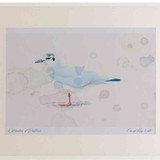 A2 little gull adult nonbreeding plumage