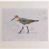 A2 little stint