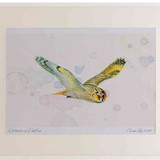 A2 long eared owl inflight